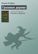 Книга - Патрик  Ротфусс - Грозовое дерево (fb2) читать без регистрации