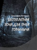Книга - Тимофей Николаевич Печёрин - Бесполетная зона для Змея Горыныча (fb2) читать без регистрации