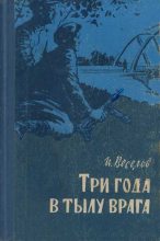 Книга - Илья Иванович Веселов - Три года в тылу врага (fb2) читать без регистрации