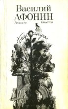 Книга - Василий Егорович Афонин - Подсолнухи (fb2) читать без регистрации