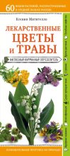 Книга - Ксения  Митителло - Лекарственные цветы и травы: наглядный карманный определитель (epub) читать без регистрации