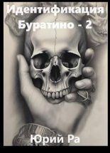 Книга - Юрий  Ра - Идентификация Буратино 2 (СИ) (fb2) читать без регистрации