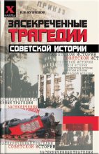 Книга - Игорь Николаевич Кузнецов - Засекреченные трагедии советской истории (fb2) читать без регистрации
