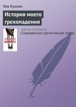 Книга - Лев  Куклин - История моего грехопадения (fb2) читать без регистрации