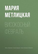 Книга - Мария  Метлицкая - Високосный февраль (fb2) читать без регистрации