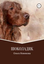 Книга - Ольга Николаевна Новикова - Шоколадик (fb2) читать без регистрации