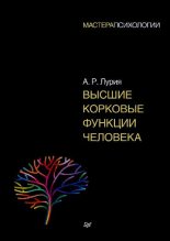 Книга -  - Высшие корковые функции человека (pdf) читать без регистрации