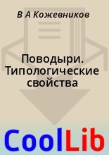 Книга - В. А. Кожевников - Поводыри. Типологические свойства (fb2) читать без регистрации