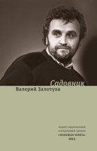 Книга - Валерий Александрович Залотуха - Садовник (сборник) (fb2) читать без регистрации