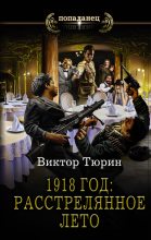 Книга - Виктор Иванович Тюрин - 1918 год: Расстрелянное лето (fb2) читать без регистрации
