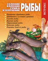 Книга - Владимир  Онищенко - Соление, вяление, сушка и копчение рыбы (fb2) читать без регистрации