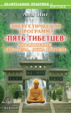 Книга - Аня  Янг - Энергетическая программа «Пять Тибетцев». Упражнения для тела, духа и души (fb2) читать без регистрации
