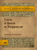 Книга - Юрий  Иовлев - Сага о Боси и Херрауде (fb2) читать без регистрации