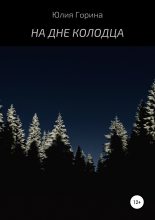 Книга - Юлия Николаевна Горина - На дне колодца (fb2) читать без регистрации