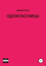 Книга - Дикий  Носок - Одноклассницы (fb2) читать без регистрации