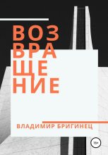 Книга - Владимир  Бригинец - Возвращение (fb2) читать без регистрации