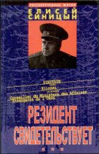 Книга - Елисей Тихонович Синицын - Резидент свидетельствует (fb2) читать без регистрации