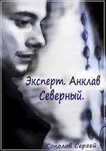 Книга - Сергей Александрович Соколов - Анклав Северный (fb2) читать без регистрации