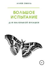 Книга - Эмиль  Алиев - Большое испытание для маленькой букашки (fb2) читать без регистрации