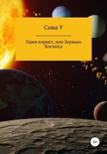 Книга - Саша  У - Один корнет, или Зеркало космоса (fb2) читать без регистрации