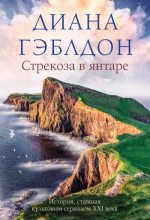 Книга - Диана  Гэблдон - Стрекоза в янтаре (fb2) читать без регистрации