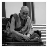 Книга - Тензин  Гьяцо - Далай Лама о Четырех печатях буддизма (fb2) читать без регистрации