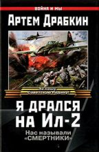 Книга - Артём Владимирович Драбкин - Я дрался на Ил-2 (fb2) читать без регистрации