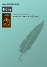 Книга - Всеволод Михайлович Гаршин - Ночь (fb2) читать без регистрации