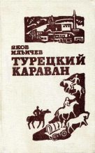 Книга - Яков Ильич Ильичёв - Турецкий караван (fb2) читать без регистрации