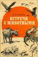 Книга - Евгений Павлович Спангенберг - Встречи с животными (fb2) читать без регистрации