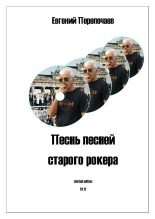 Книга - Евгений  Перепечаев - Песнь песней старого рокера (fb2) читать без регистрации