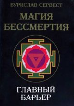 Книга - Бурислав  Сервест - Магия бессмертия. Главный барьер (fb2) читать без регистрации