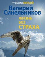 Книга - Валерий Владимирович Синельников - Жизнь без страха (fb2) читать без регистрации