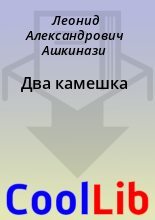 Книга - Леонид Александрович Ашкинази - Два камешка (fb2) читать без регистрации