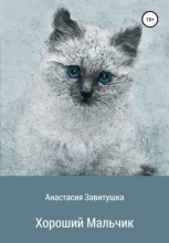 Книга - Анастасия  Завитушка - Хороший мальчик (fb2) читать без регистрации