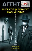Книга - Александр  Шувалов - Шут специального назначения (fb2) читать без регистрации