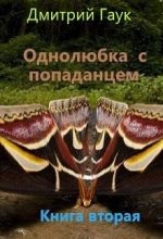 Книга - Дмитрий  Гаук - Однолюбка с попаданцем (fb2) читать без регистрации