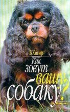 Книга - Борис  Хигир - Как зовут вашу собаку (fb2) читать без регистрации