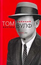 Книга - Том  Вулф - Костры амбиций (fb2) читать без регистрации
