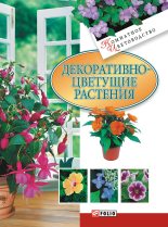 Книга - Татьяна Николаевна Дорошенко - Декоративноцветущие растения (fb2) читать без регистрации