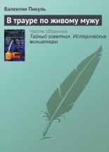 Книга - Валентин Саввич Пикуль - В трауре по живому мужу (fb2) читать без регистрации