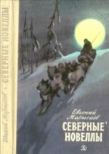 Книга - Евгений Клеоникович Марысаев - Северные новеллы (fb2) читать без регистрации