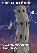 Книга - Елена  Райдос - Созидающий башню (fb2) читать без регистрации
