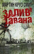 Книга - Мартин Круз Смит - Залив Гавана (fb2) читать без регистрации