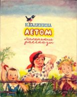 Книга - Надежда Дмитриевна Калинина - Летом (fb2) читать без регистрации