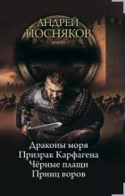 Книга - Андрей Анатольевич Посняков - Принц воров (fb2) читать без регистрации