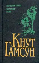 Книга - Кнут  Гамсун - Последняя глава (fb2) читать без регистрации