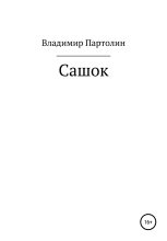 Книга - Владимир Иванович Партолин - Сашок (fb2) читать без регистрации