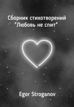 Книга - Egor  Stroganov - Любовь не спит. Сборник стихотворений (fb2) читать без регистрации