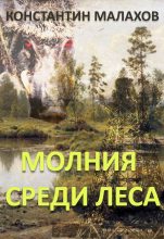 Книга - Константин Константинович Малахов - Молния среди леса (fb2) читать без регистрации